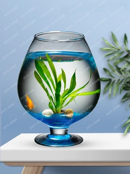 Аквариум за риби в чаша за вино, хол, малка Рибка глобус, аквариум за дома, Еко Аквариумный пейзаж