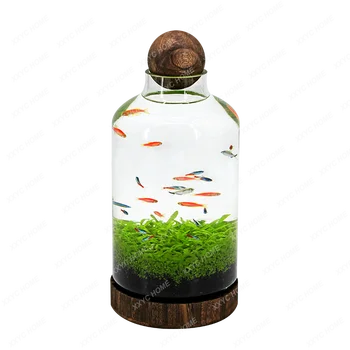 Креативен аквариум за рибки от кръгла стъкло, тенис на Микро Пейзаж, подарък за рожден Ден, домашна работа, смяна на водата