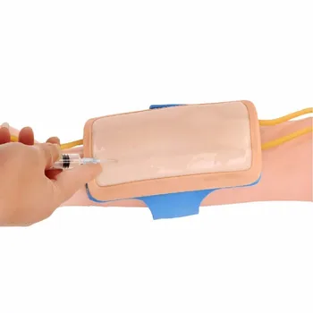 Модел на кожата за пункция сайт вени на предмишницата Модул за практиката на инжектиране и инфузия с кръвоносните съдове
