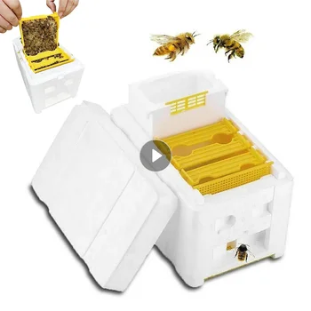 Отглеждането На Пчелните На Матката, Спаривающийся Кошер, Инструмент За Пчеларството, Пенопластовая Кутия За Опрашване, Пенопластовая Кутия За Развъждане На Пчели, Обзавеждане За Пчеларството, Кутия За Опрашване