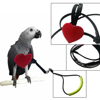 Универсална эмульсионная колани за папагали Ара, Тренировочная въже, регулируема устойчива дърпане на въже за птици в двора